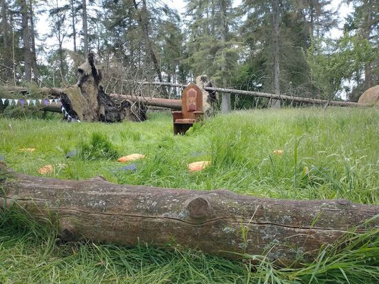 Throne in the Woods.jpg