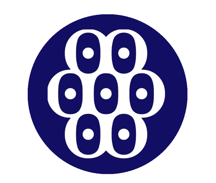 File:Eyes of Reikos.png