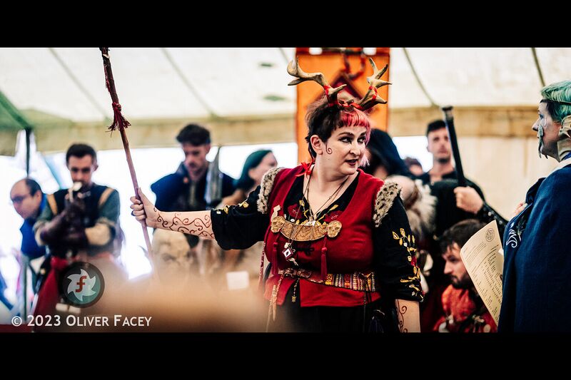 Herald of the Council.jpg