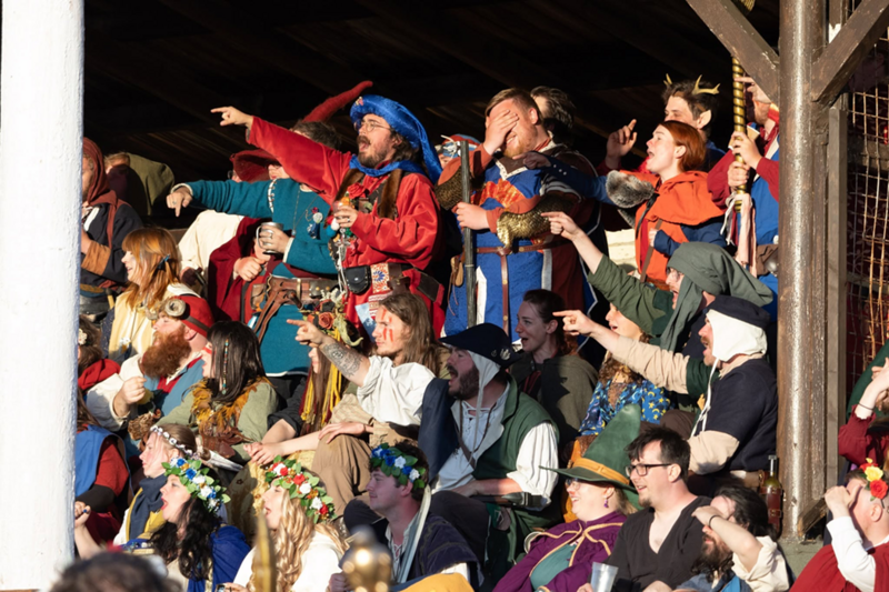 File:In the stands.png