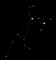 The Stallion (Constellation)