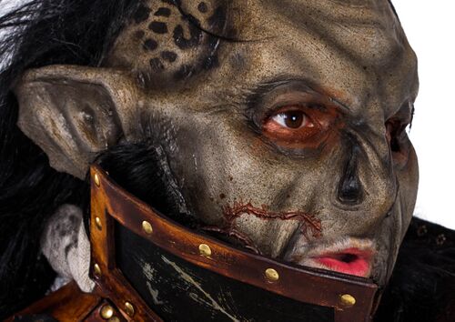 OrcFaceCropped.jpg