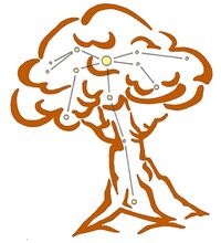 OakIllustrationInk.JPG